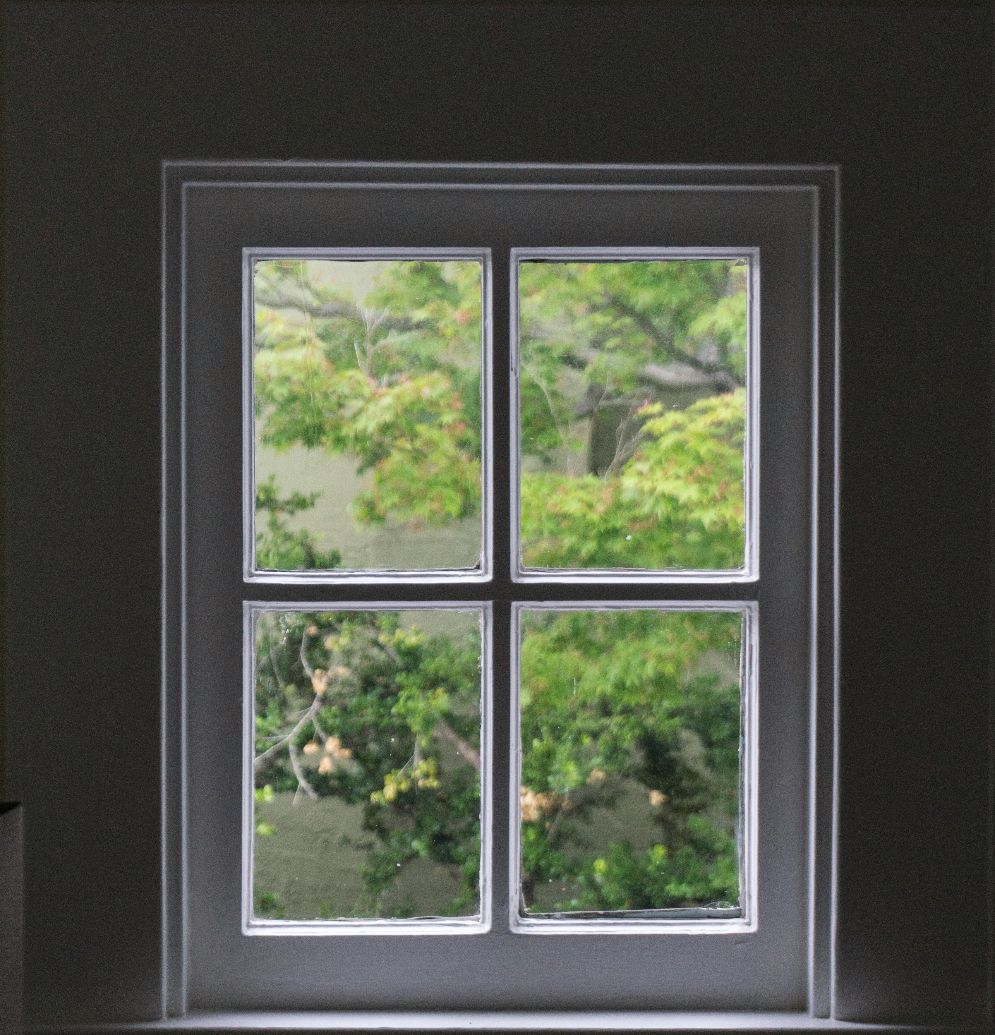 Glass Window Solutions